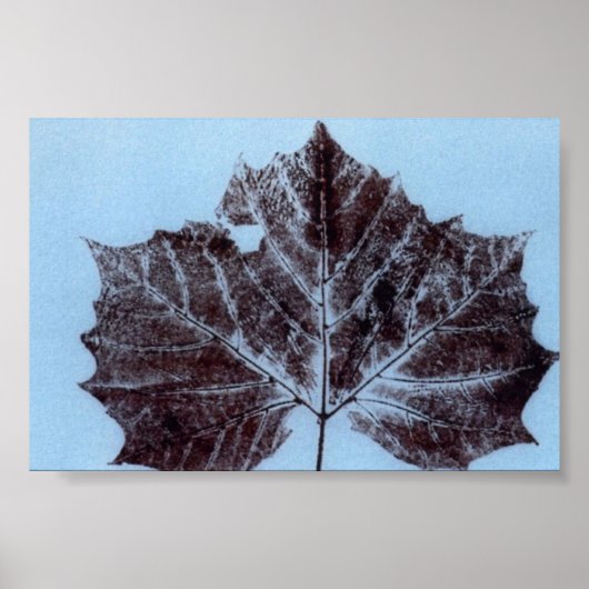 Poster Feuilles Nature Imprimer Mini-Poster (Devant)
