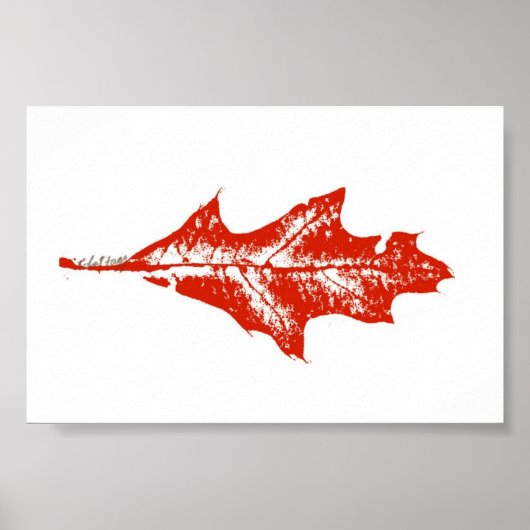 Poster Feuilles Nature Imprimer Mini-Poster (Devant)