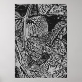Poster Feuilles noires (Devant)
