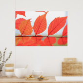 Poster Feuilles oranges d'automne (Cuisine)