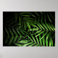 Feuilles Palm