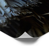 Poster Feuilles Palm Tree (Coin)