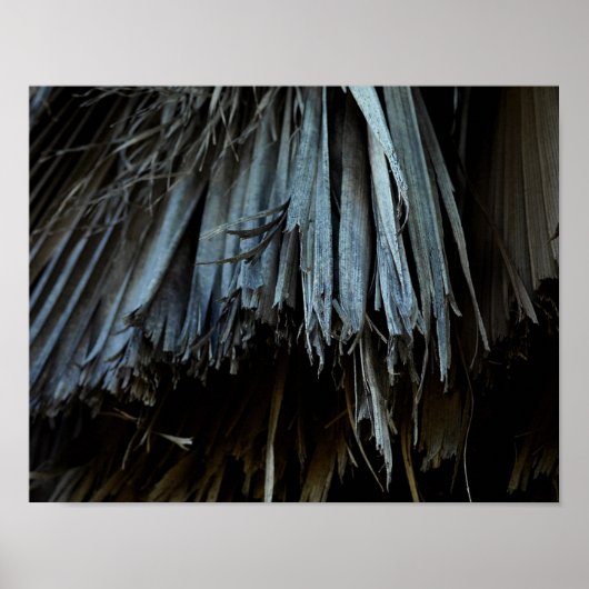 Poster Feuilles Palm Tree (Devant)