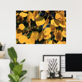 Poster Feuilles peuplier d'Aspen à l'automne (Bureau à domicile)