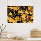 Poster Feuilles peuplier d'Aspen à l'automne (Cuisine)