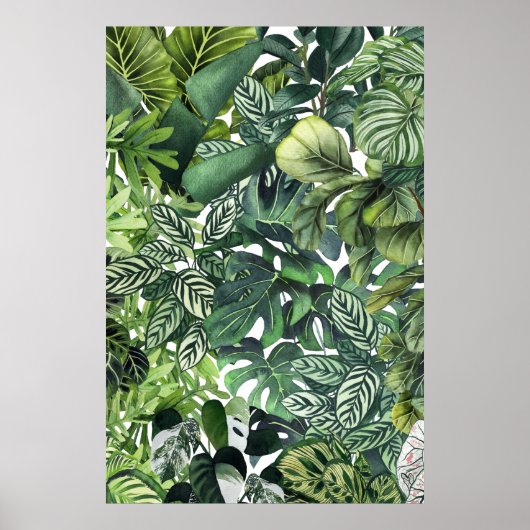 Poster feuilles plantes (Devant)