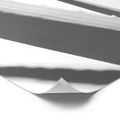 Poster Feuilles Plantes en aloès noir noir (Coin)