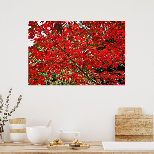 Poster Feuilles rouges (Cuisine)