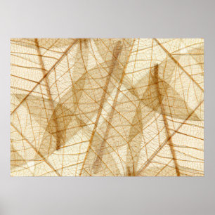 Poster Feuilles rustiques en dentelle