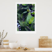 Poster Feuilles Sculpturales (Cuisine)