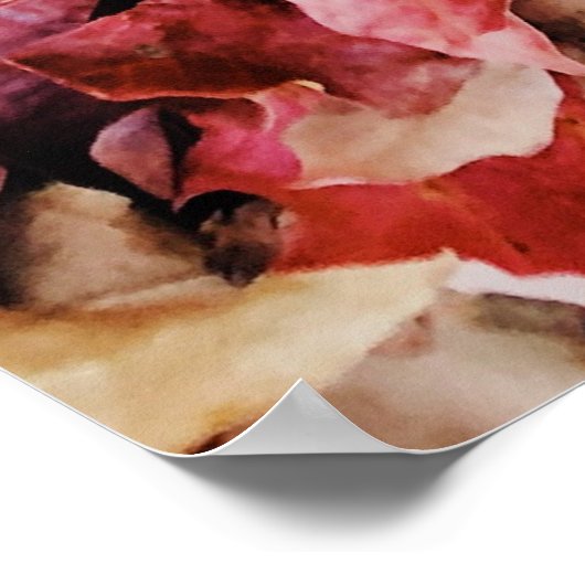 Poster Feuilles séchés (Coin)