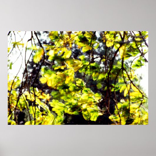 Poster Feuilles soufflent dans le vent (Devant)