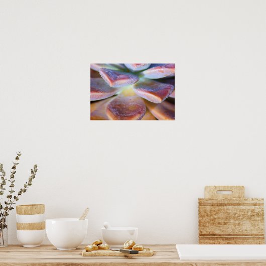 Poster Feuilles succulents (Cuisine)