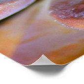 Poster Feuilles succulents (Coin)