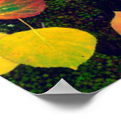 Poster Feuilles sur la roche couverte de lichen, Rocheuse (Coin)