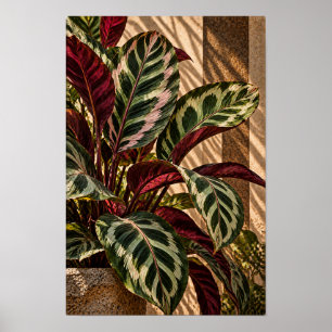 Poster Feuilles Tropicales Panachées dans un Mur de Lumiè