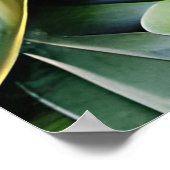 Poster Feuilles Tropicales Vertes (Coin)