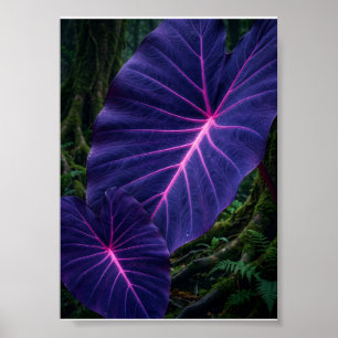 Poster Feuilles Tropicales Violettes Lumineuses Botanique