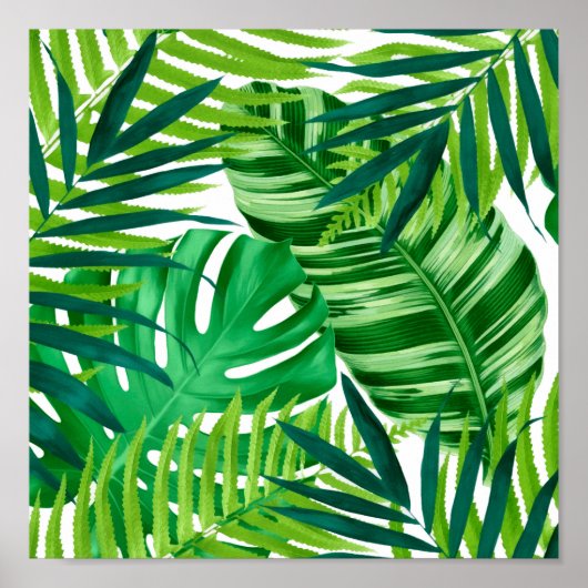 Poster Feuilles tropicaux verts (Devant)