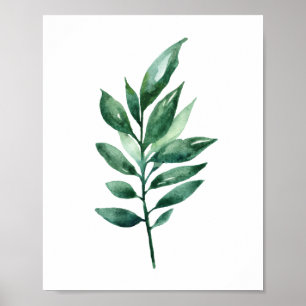 Poster Feuilles vert aquarelle. Art botanique. Jardin