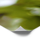 Poster Feuilles Vertes (Coin)