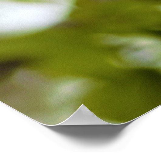 Poster Feuilles verts (Coin)
