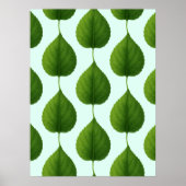 Poster Feuilles verts (Devant)