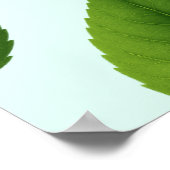 Poster Feuilles verts (Coin)