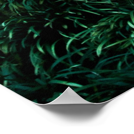 Poster Feuilles verts (Coin)