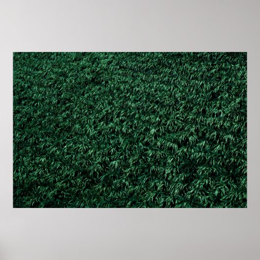 Poster Feuilles verts (Devant)