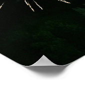 Poster Feux d'artifice avec arbre (Coin)