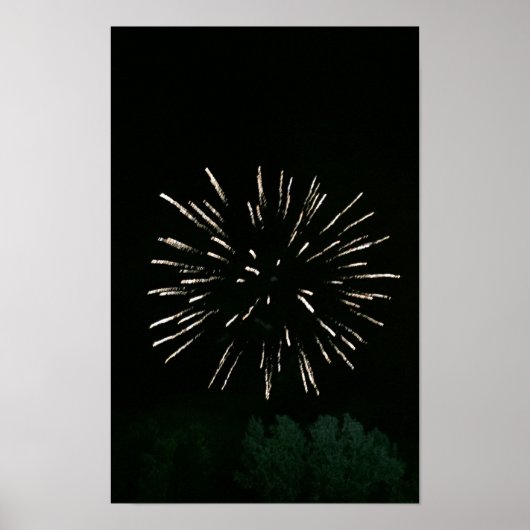 Poster Feux d'artifice avec arbre (Devant)