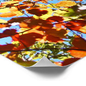 Poster Feux d'artifice d'automne (Coin)