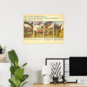 Poster feux de forêt (Bureau à domicile)