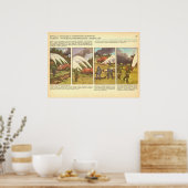 Poster feux de forêt (Cuisine)