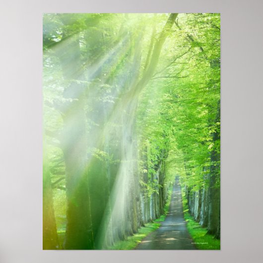 Poster Feux de soleil (Devant)