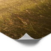 Poster Feux de soleil brouillard le long de la clôture pr (Coin)