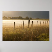 Poster Feux de soleil brouillard le long de la clôture pr (Devant)