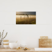 Poster Feux de soleil brouillard le long de la clôture pr (Cuisine)