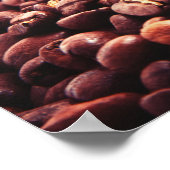 Poster Fèves de café (Coin)