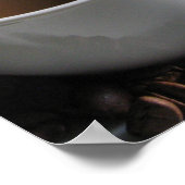 Poster Fèves de café (Coin)