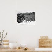 Poster Fèves de café noir et blanc et terrasses de café 1 (Cuisine)