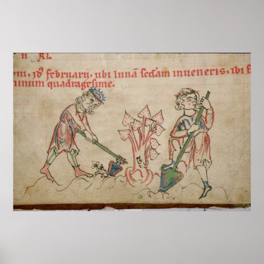 Poster Février : hoeing (Devant)