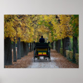 Poster Fiaker À Schönbrunn, Wien Österreich (Devant)