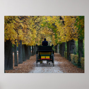 Poster Fiaker À Schönbrunn, Wien Österreich