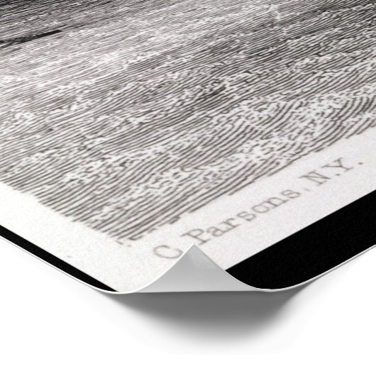 Poster Fiançailles entre Monitor' et (Coin)