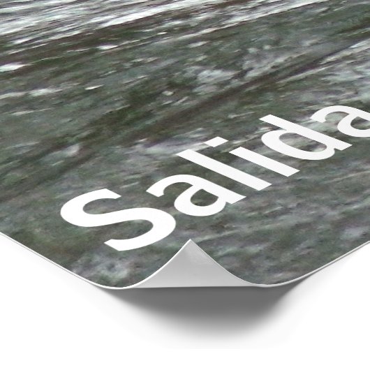 Poster FIBArk (Coin)