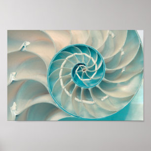 Poster - Fibonacci-sequentie in het leven van het 