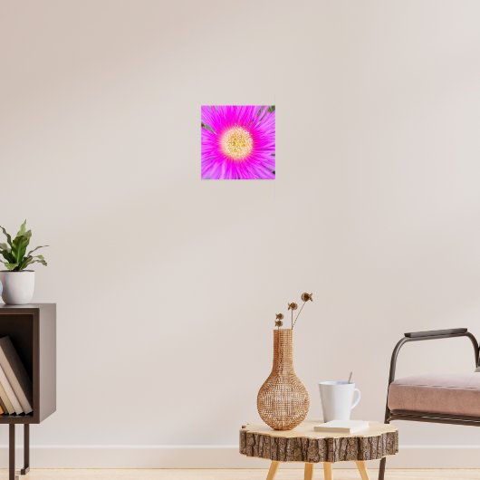 Poster Ficoïde méditerranéenne rose électrique (Salon 3)