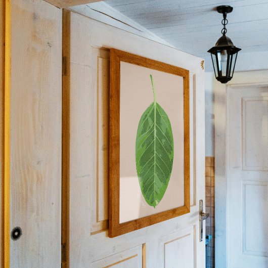 Poster Ficus altissima feuille de 'Gem jaune'